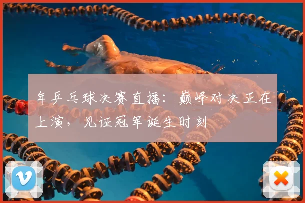 年乒乓球决赛直播:巅峰对决正在上演,见证冠军诞生时刻